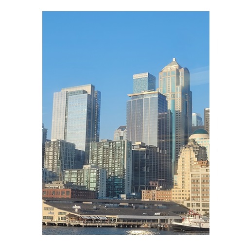 go to the city in verbal behavior  category